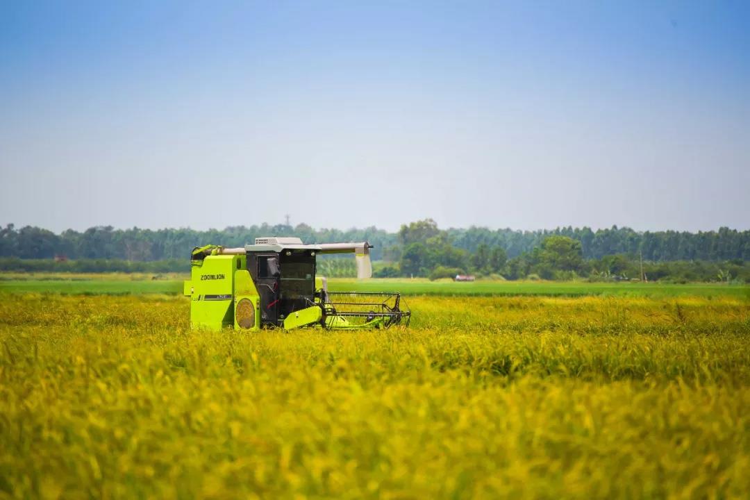 永利皇宫·(463cc) - 官方网站